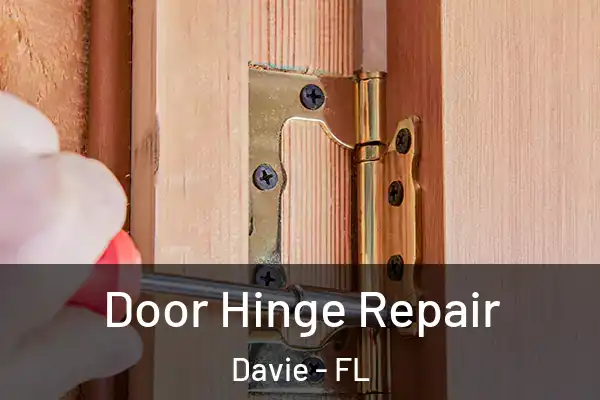  Door Hinge Repair Davie - FL