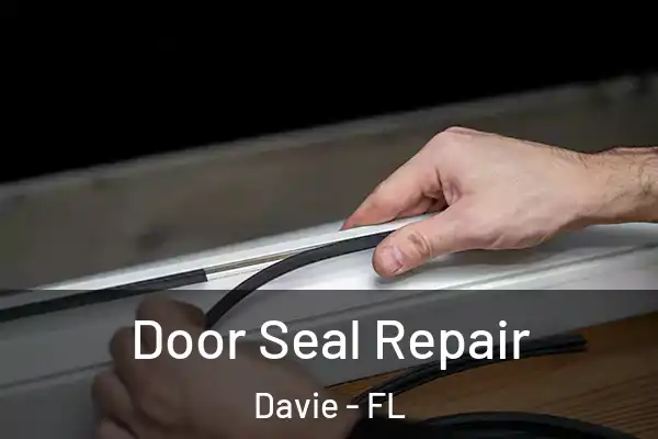  Door Seal Repair Davie - FL