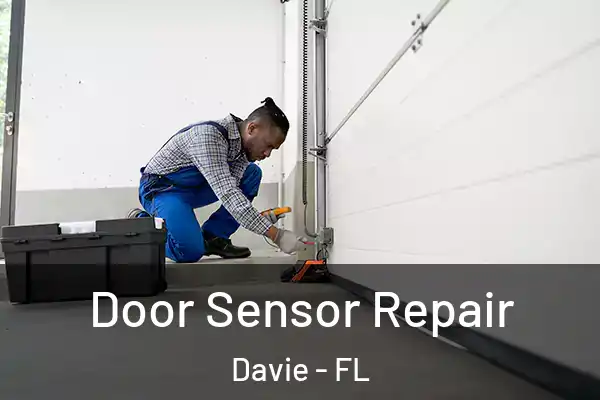  Door Sensor Repair Davie - FL