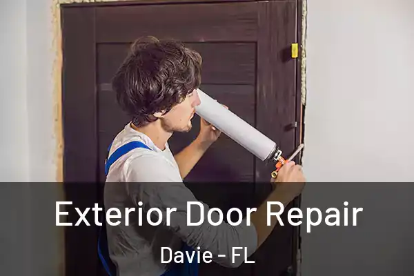 Exterior Door Repair Davie - FL