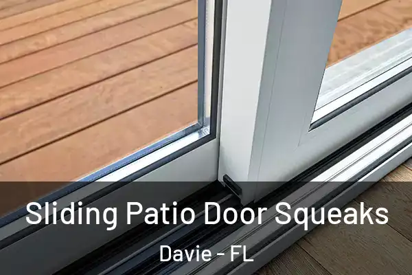 Sliding Patio Door Squeaks Davie - FL